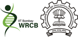 wrcb logo